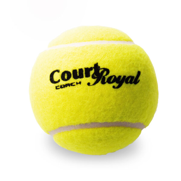 Tennisball Court Royal Coach - pack of 60