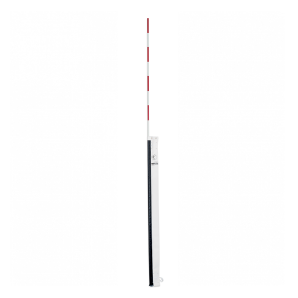 Volleyball antennas with cases