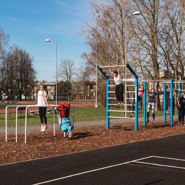 Street workout setups - Image 12