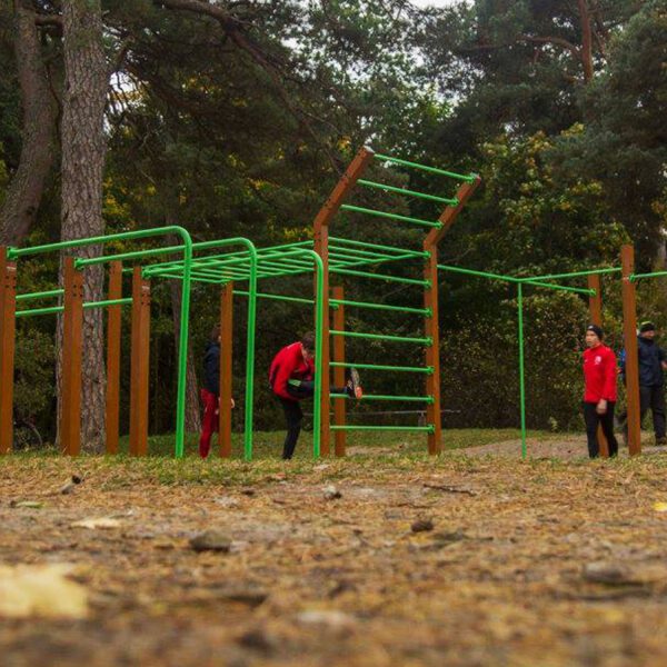 Street workout setups - Image 4