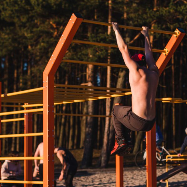 Street workout setups - Image 15