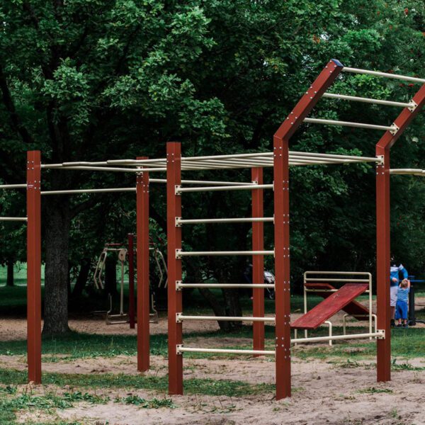 Street workout setups - Image 3